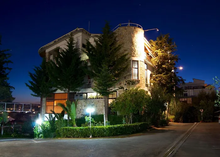 Hotel Baron